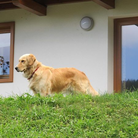 Il Cardo Trentino Appartement Bedollo Buitenkant foto