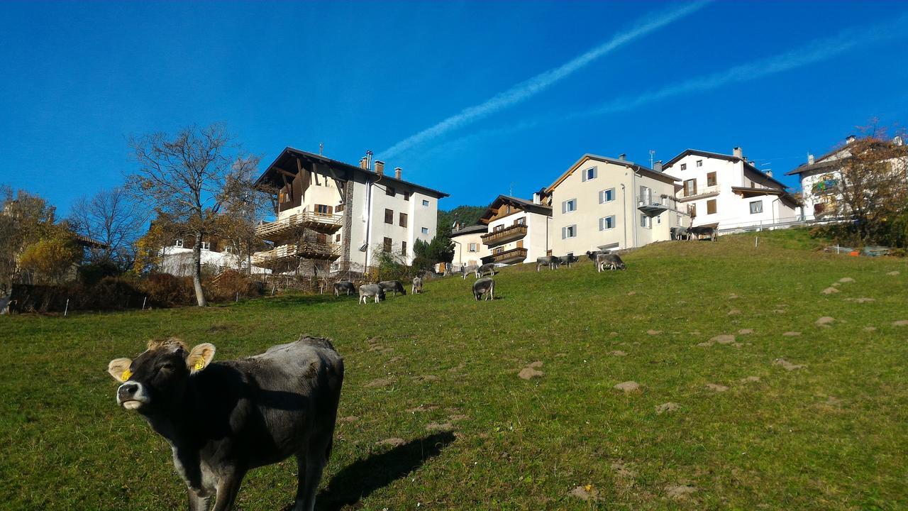 Il Cardo Trentino Appartement Bedollo Buitenkant foto