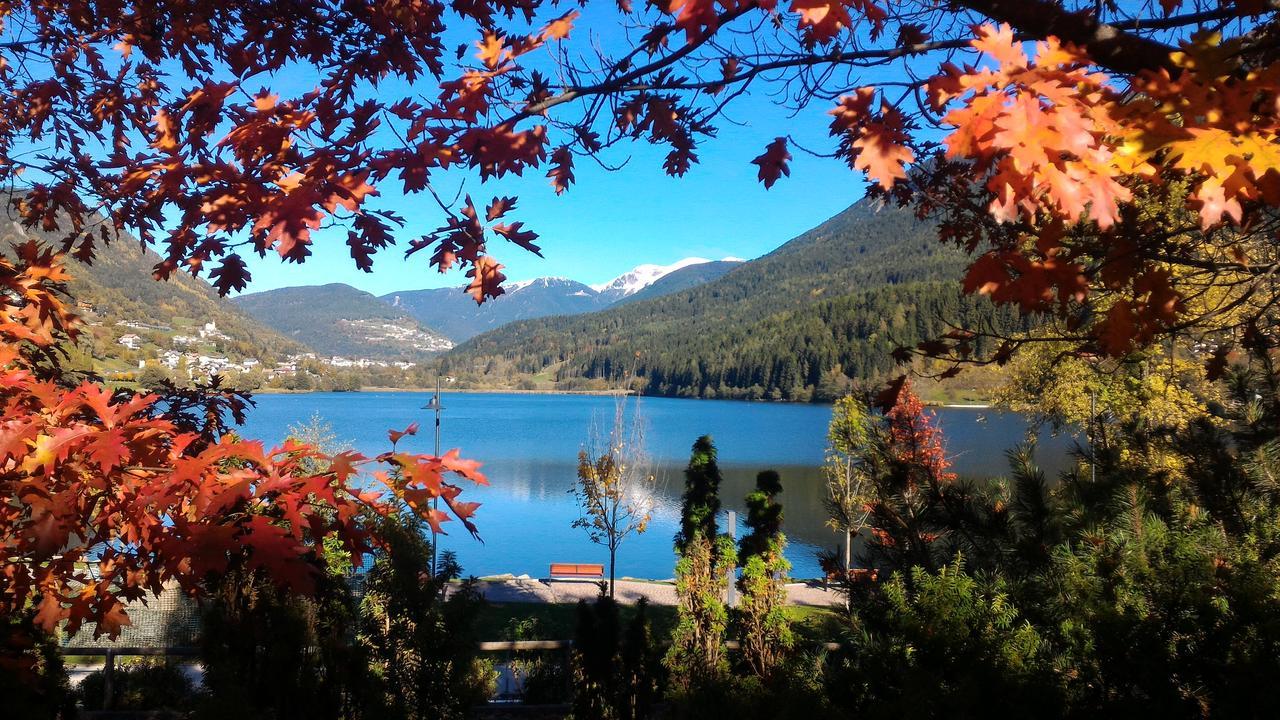 Il Cardo Trentino Appartement Bedollo Buitenkant foto