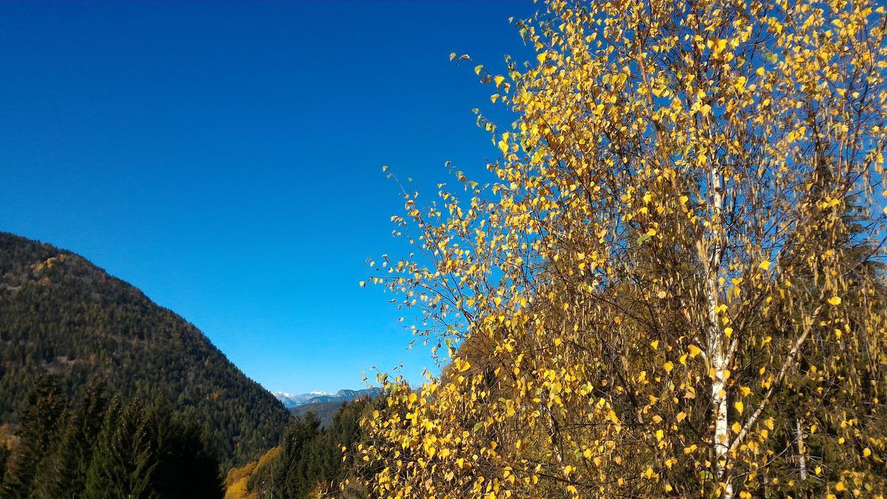 Il Cardo Trentino Appartement Bedollo Buitenkant foto