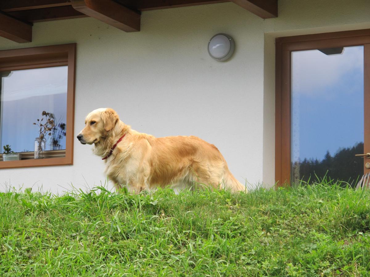 Il Cardo Trentino Appartement Bedollo Buitenkant foto