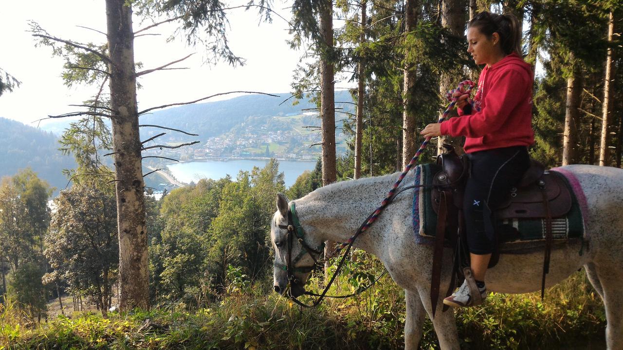 Il Cardo Trentino Appartement Bedollo Buitenkant foto