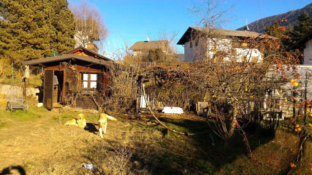 Il Cardo Trentino Appartement Bedollo Buitenkant foto