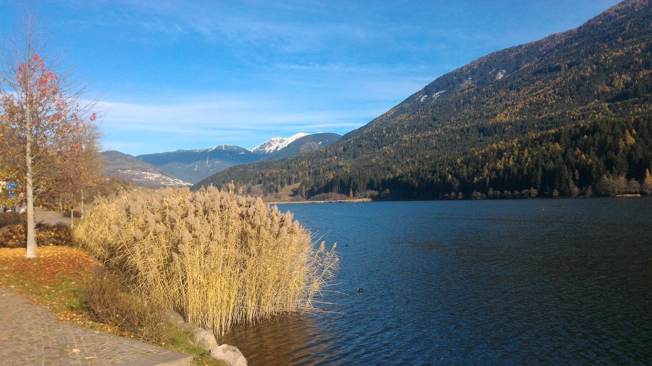 Il Cardo Trentino Appartement Bedollo Buitenkant foto